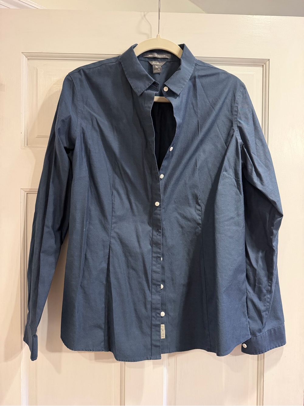 Eddie Bauer Slate Blue Button-Down Dress Shirt